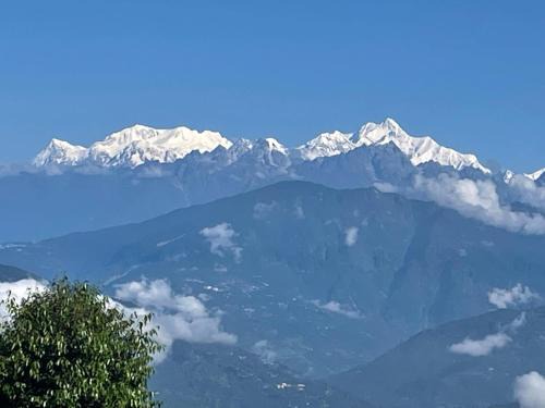Rishop House | Alpine's Nest Homestay, Ramdhura