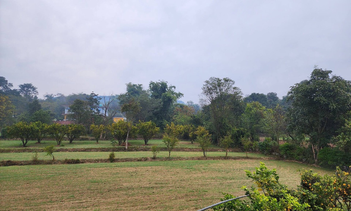 Baroh House | Badal Home Stay @Village Lifennfamily to this great place with lots of fun.