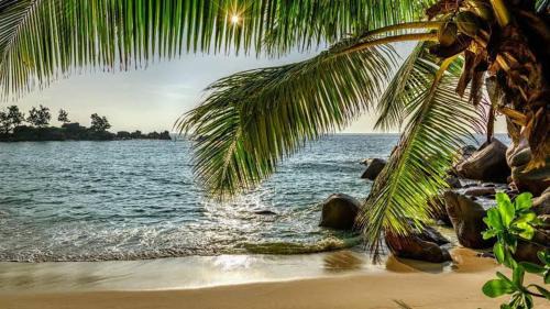 Saunta Vaddo Hotel | Baga Beach Palms