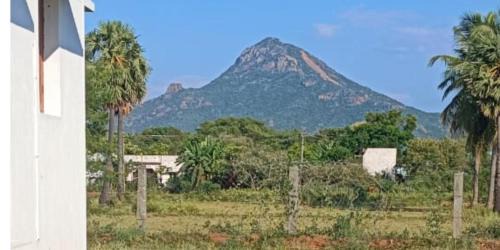 Tiruvannamalai House | Bliss Haven - Tiru Arunachala Spiritual Retreat, Tiruvannamalai