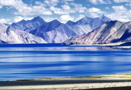 Leh Other | Blue Water Cottages Formerly Pangong Kitchen