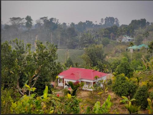 Sreemangal Upazila Hotel | Bonsai Eco Village
