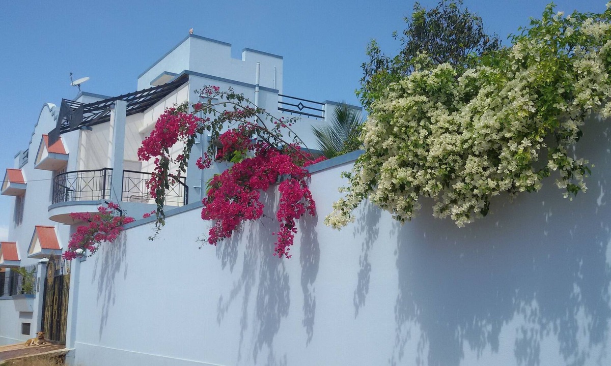 Bengaluru House | Bunglow to rent fully furnished for rent
