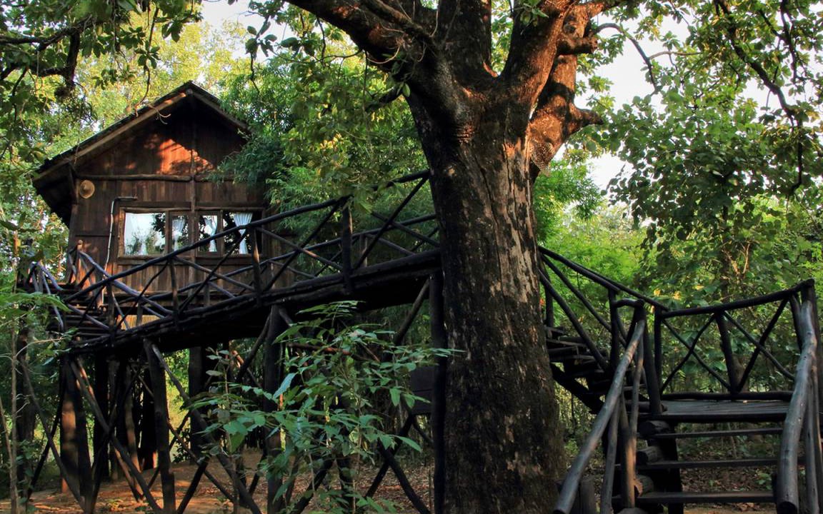 Tala Other | Camping ∙ 1 bedroom ∙ 3 guests