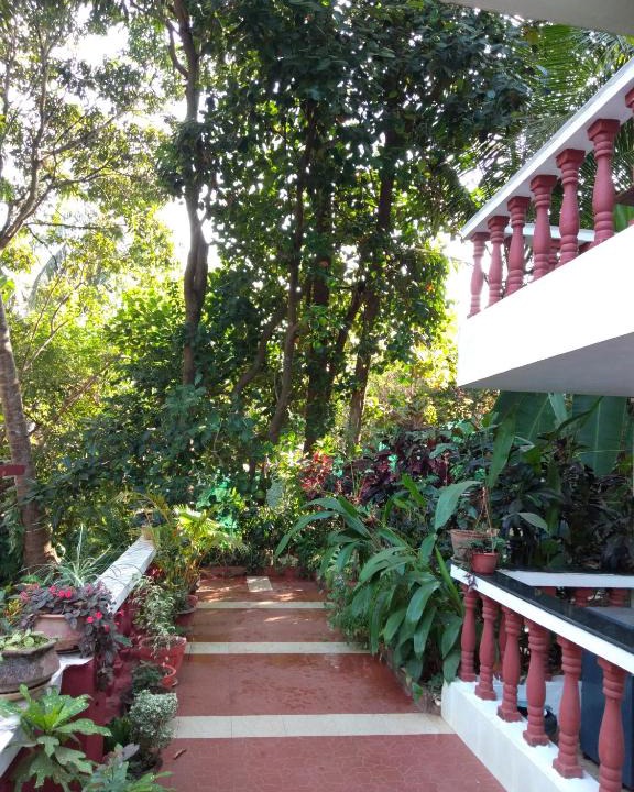 Chapora House | Casa De Olga
