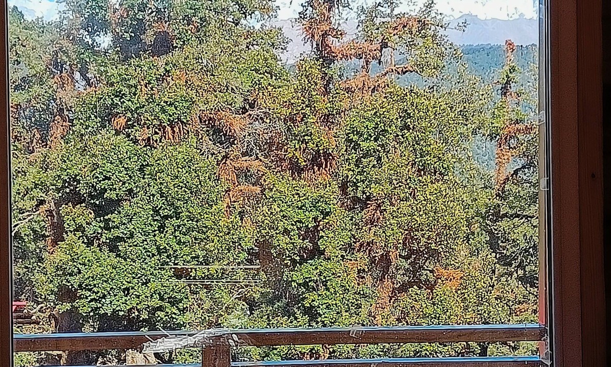 Dugalbitta Hotel | Chopta Resort