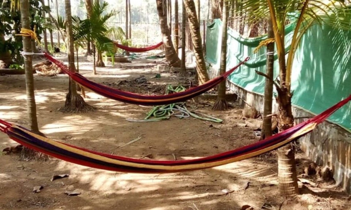 Nagaon Cottage | COOL & PLEASENT STAY IN NATUTRE @ DAKWE COTTAGE WITH DELICIOUS FOOD , NEAR BEACH