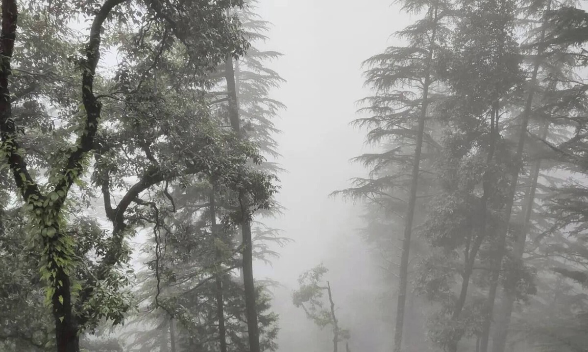 Mussoorie Apartment | Escalera a la Felicidad con Escapadas a Jabula