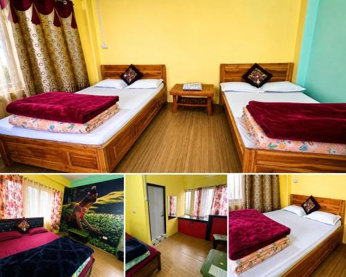 Darjeeling Apartment | Fun Viewpoint Homestay Darjeeling