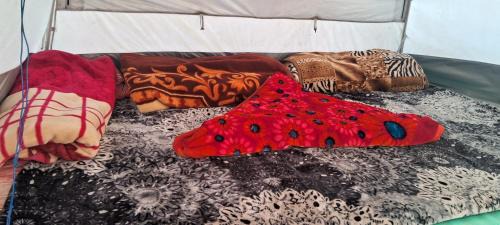 Srinagar Apartment | Gurez valley camping site