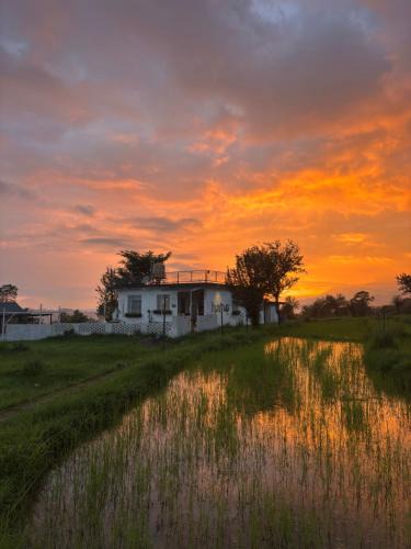 Suja Villa | Hans BnB Charming stay amidst nature