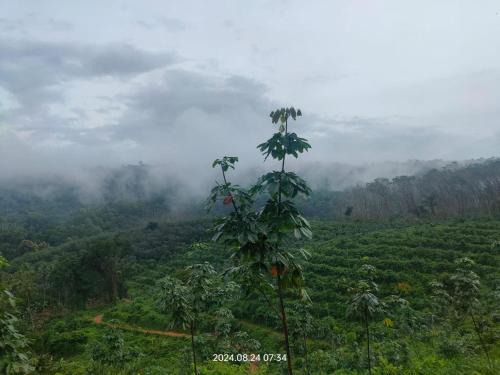 Sullia Cabin | Hillocks and The Spring