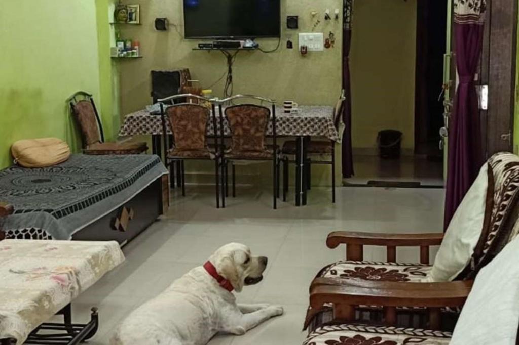Bhiwandi House | Home D.E.V