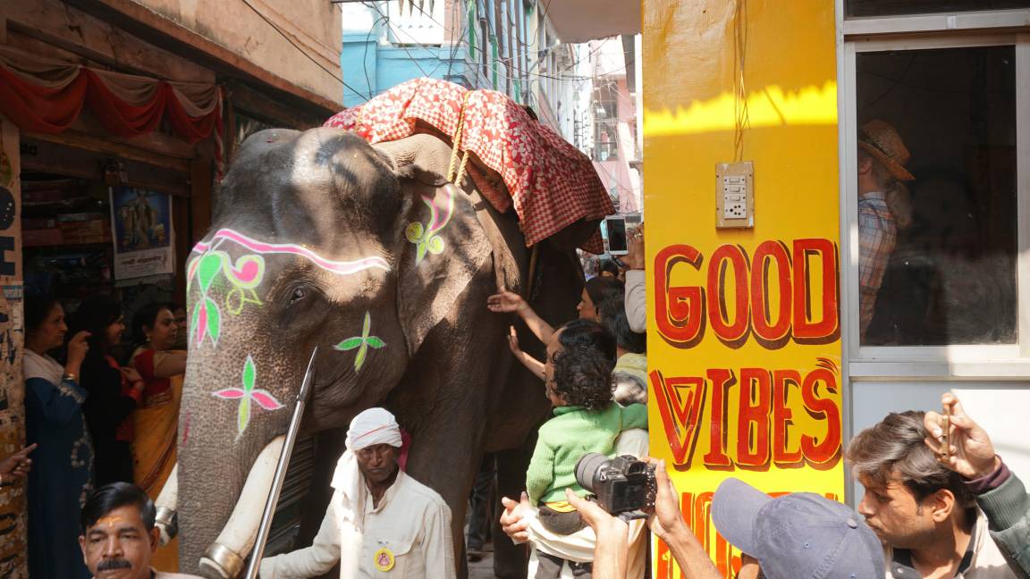 Vibes Hostel | Varanasi