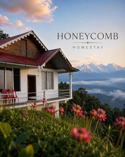 Rishop House | Kagey Honeycomb Homesaty