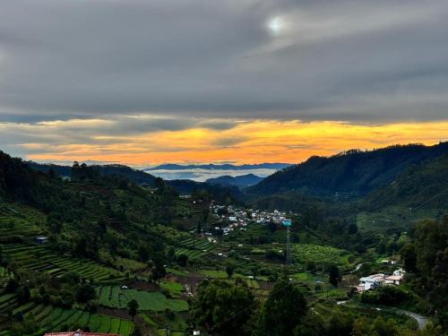 Vilpatti Hotel | Kodai Hillscape