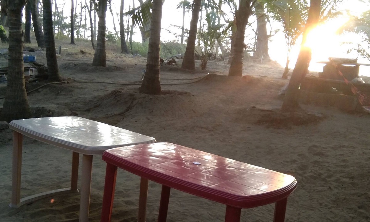 Malvan House | Live young, live free.