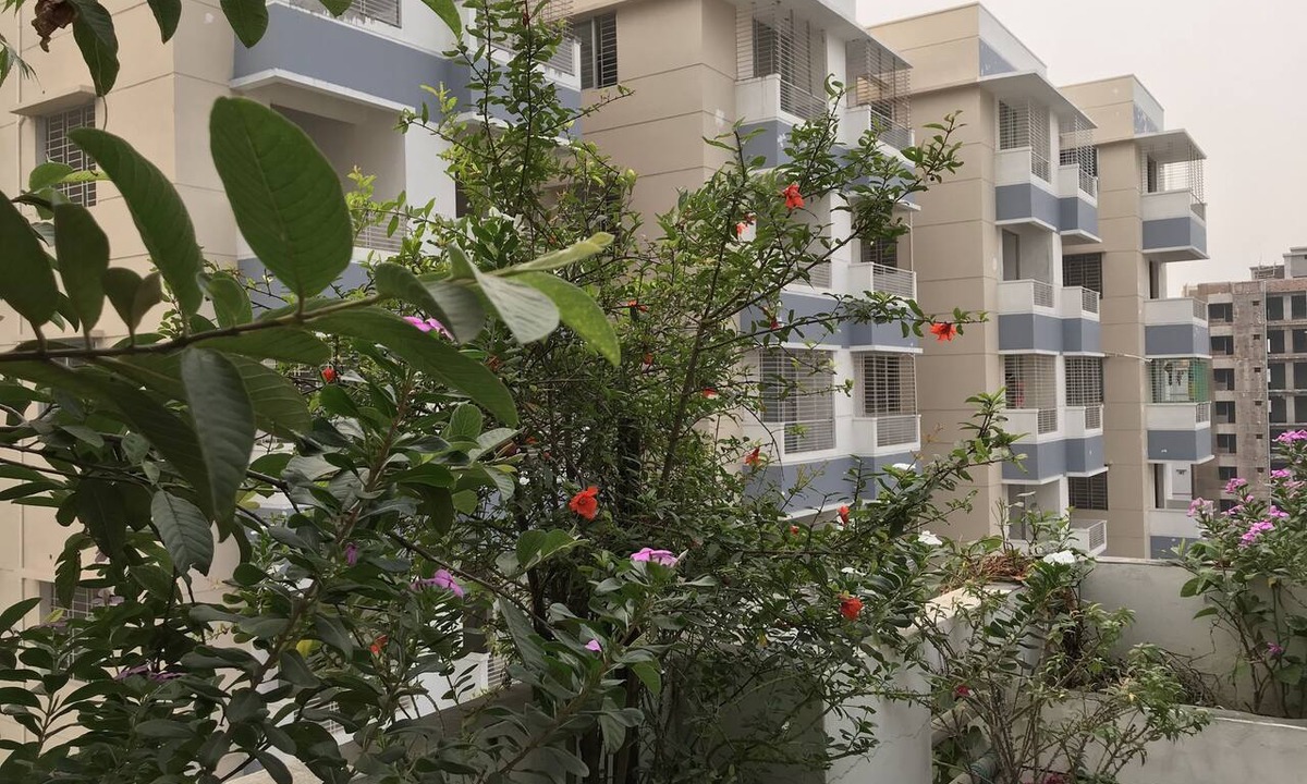 Dhaka Apartment | Living At Home