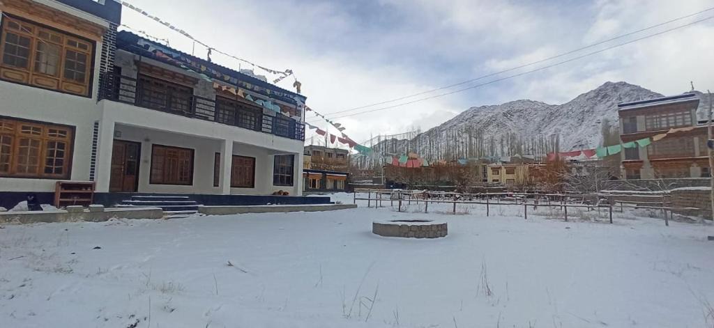 Leh House | Living stones