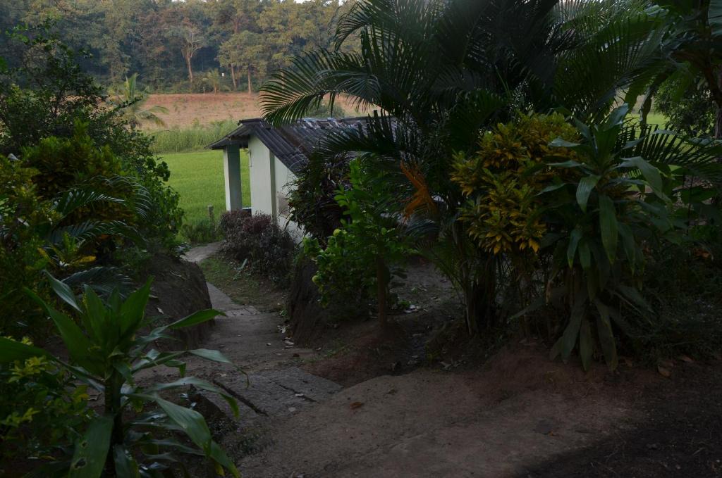 Supa House | Madhuvan Homestay