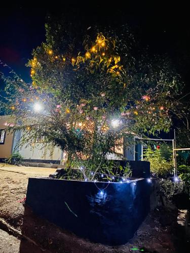 Udumbanchola House | Misty Moon Home stay