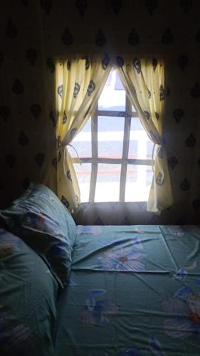 Lebong and Mineral Spring Tea Garden Ski Chalet | Mountain Meadow Dawaipani