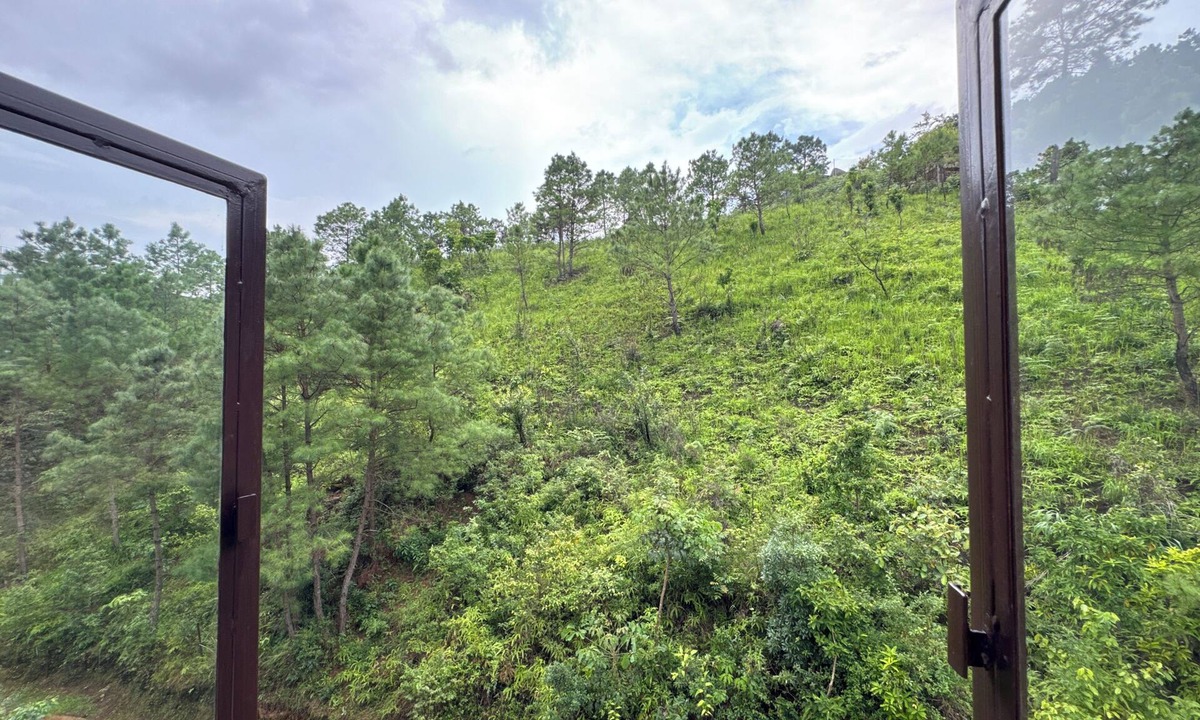 Shillong Hostel | Mountain Views by XTSY