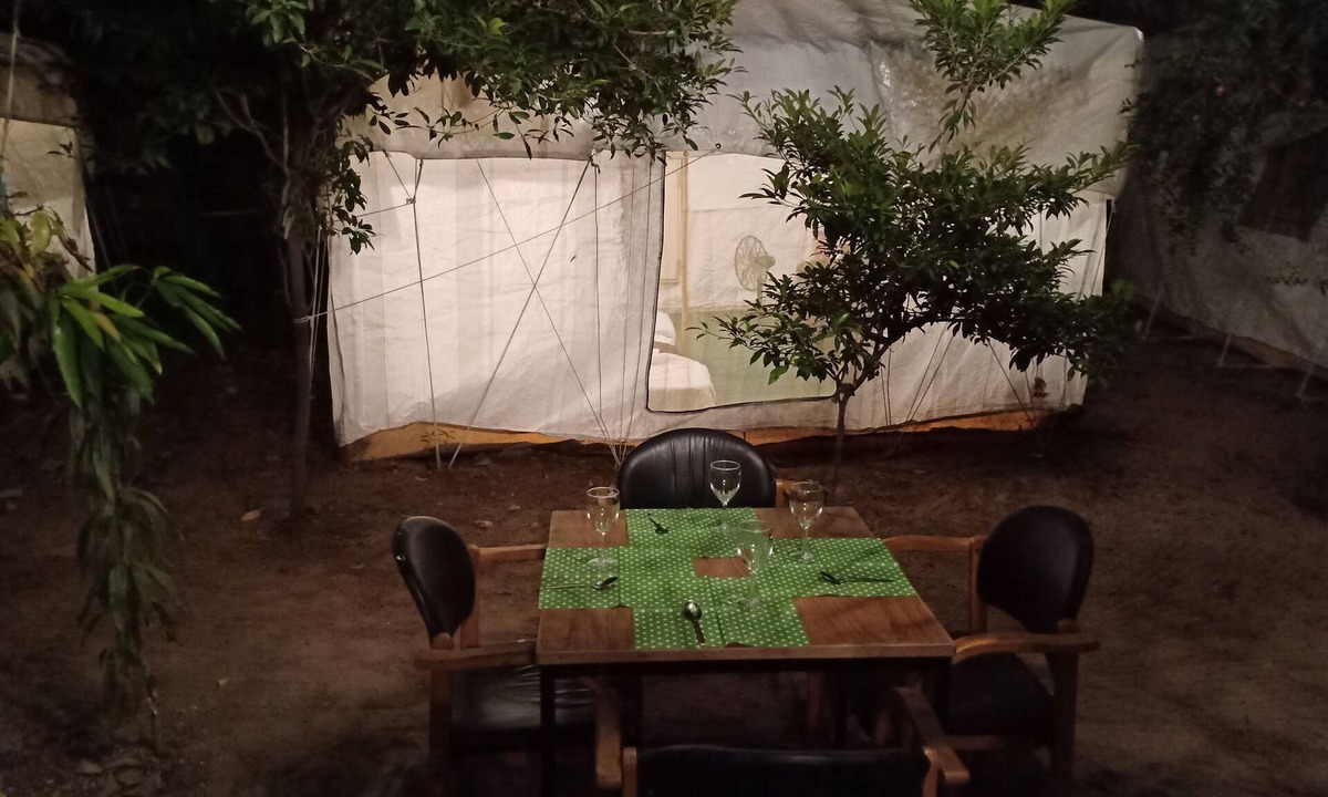 Jodhpur RV Rental | Nature Trail Camps & Homestay