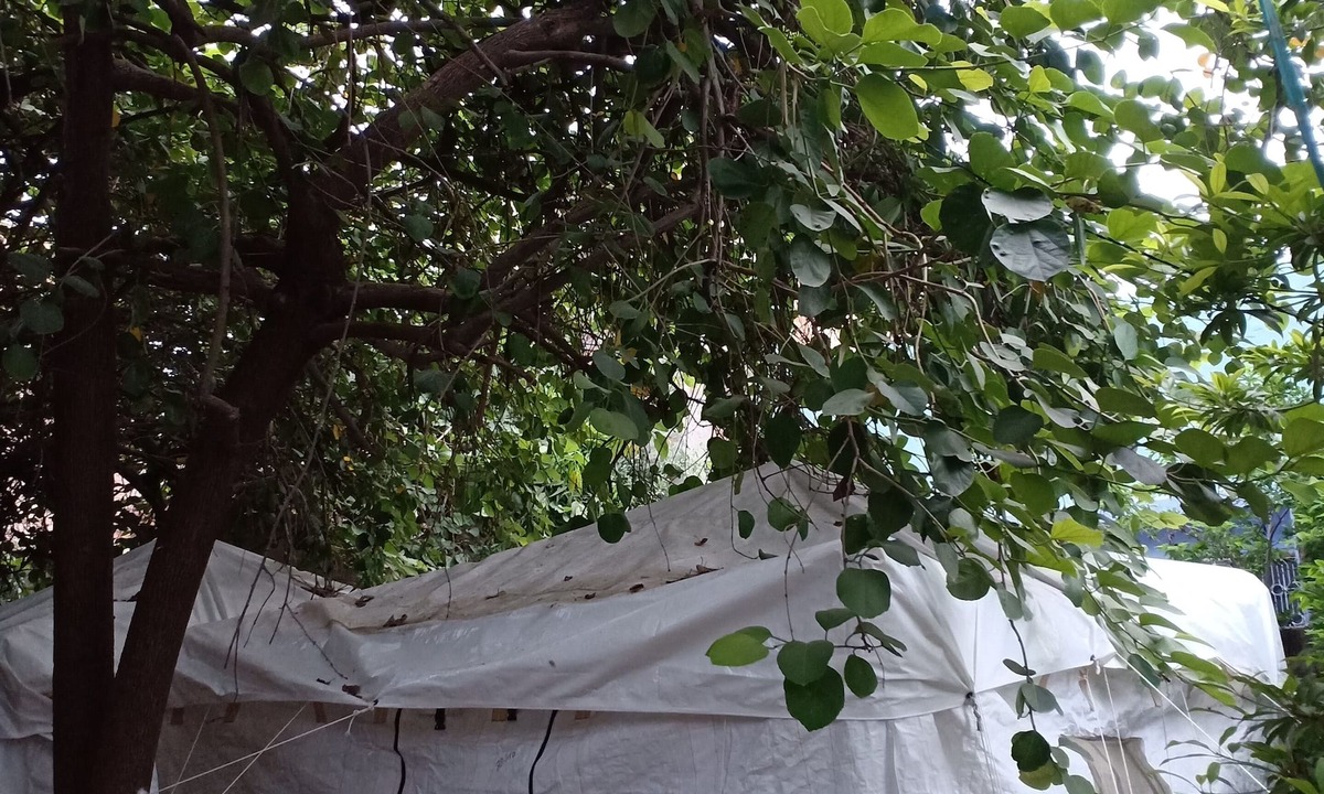 Jodhpur RV Rental | Nature trail camps & homestay