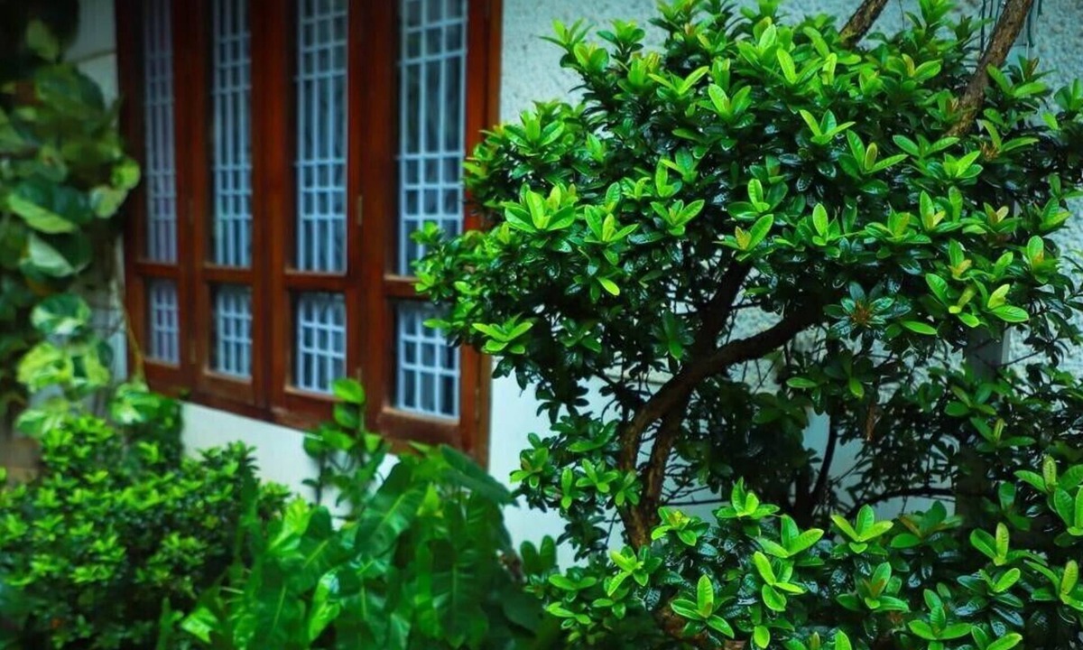 Thiruvananthapuram Hotel | Nutshell Airport Retreat by the Sea