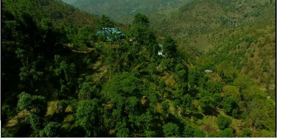 Rajgarh House | Oak hill homestay