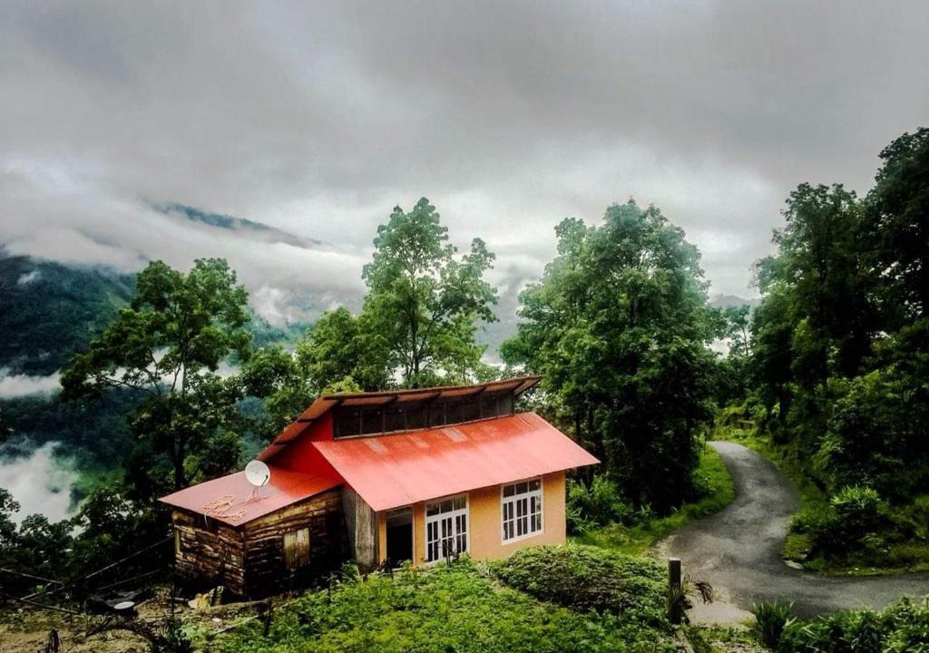 Kurseong House | Orange Orchard