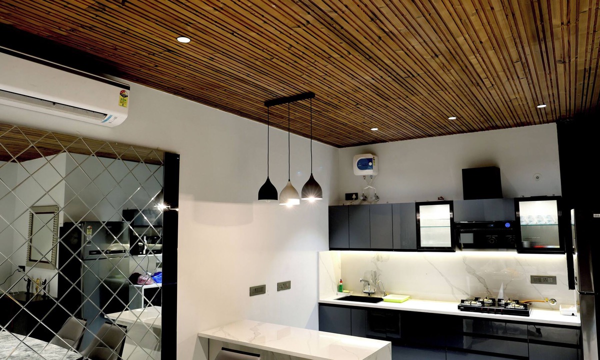 Malviya Nagar Villa | Palm Tree Villa with 3 Bedrooms and private pool in Central Jaipur