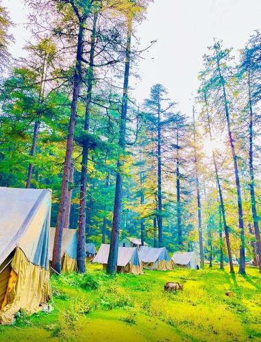 Chakrata House | Paryatan Homestay