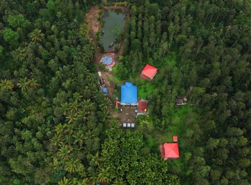Kushalnagar House | Rising surya Plantation stay