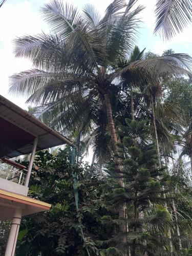 Chaul Apartment | Sadhana Homestay