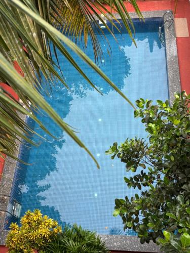 Arambol Apartment | Serendipity Goa - Apartments and Cafe