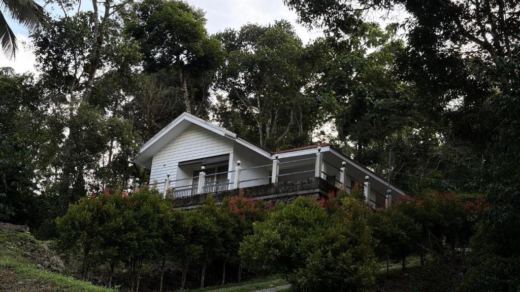 Pirmed House | Serene Vista