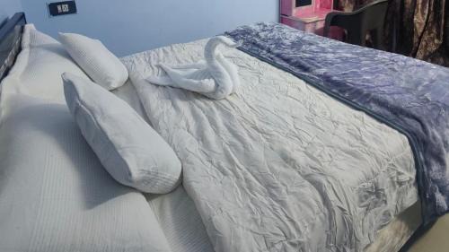 Bhuj House | Shiv Shakti Home Stay - Bhuj