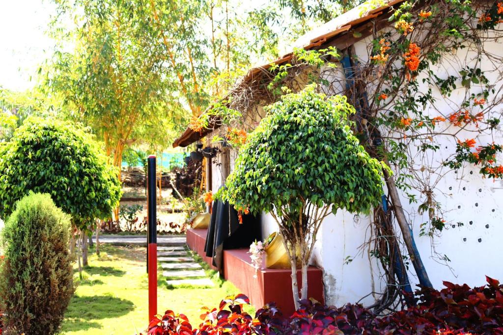 Chikkamagaluru Resort | STAYMAKER Harshadhare Homestay