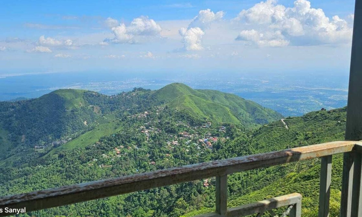 Kurseong House | TEA NEST CAFE ND HOMESTAY