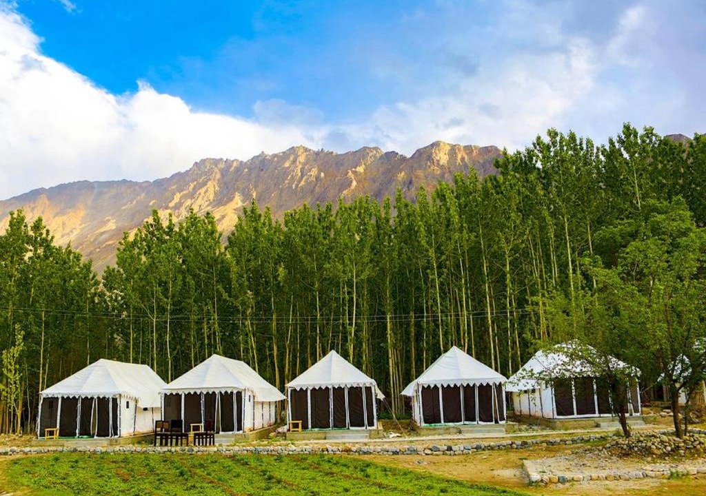 Hundur Bed & Breakfast | Terrain Ladakh Camping