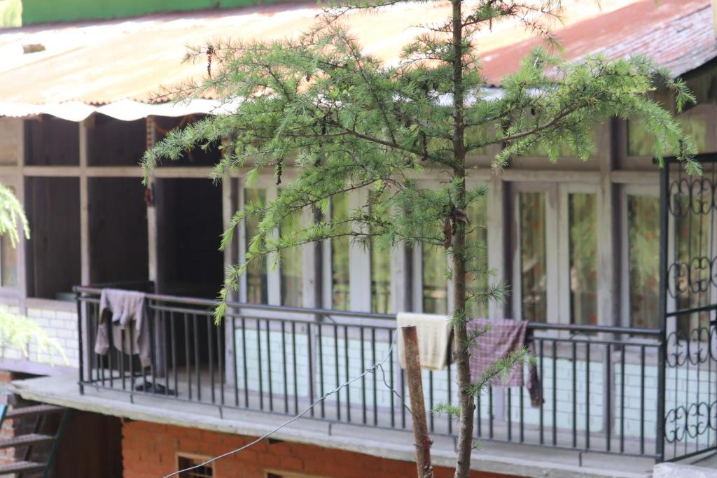 Banjar House | The Great Himalayan Homestay - Sainj Valley