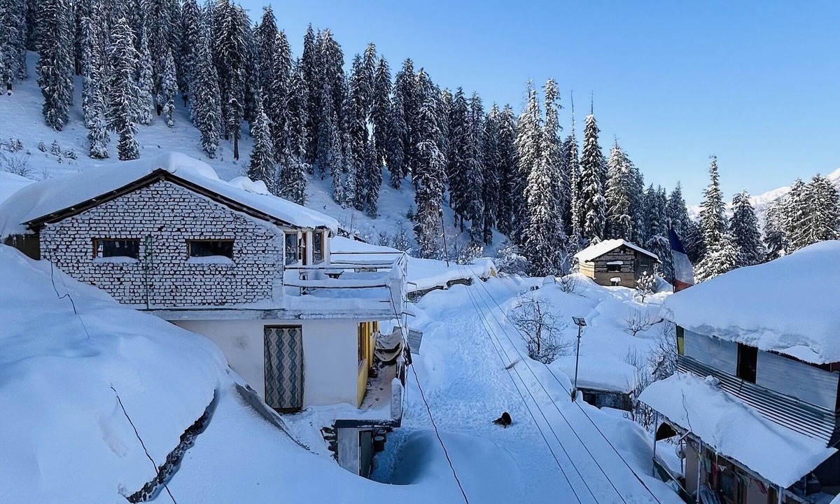 Manali Hotel | The Ivy Mansion Sethan One of the best hotels in Sethan 9459413016