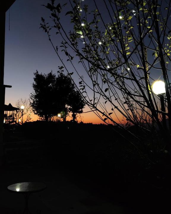 Rajgarh Bed & Breakfast | The Orchard