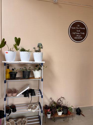 Yupia Apartment | The WildFern Homestay with self cooking facility