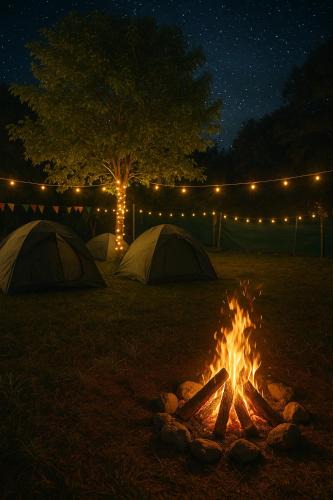 Roing Other | The Wooden Haven