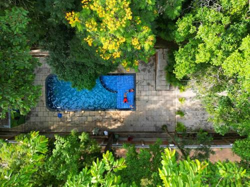 Kattikkulam Resort | Thennal Jungle Camp