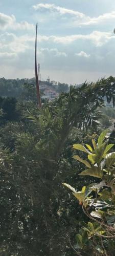 Yercaud Hotel | town view garden