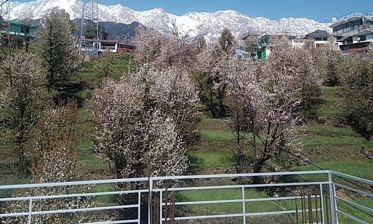 Naddi Bed & Breakfast | Tranquil Trails Naddi SunRise